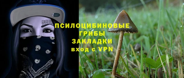 круглые Гусев