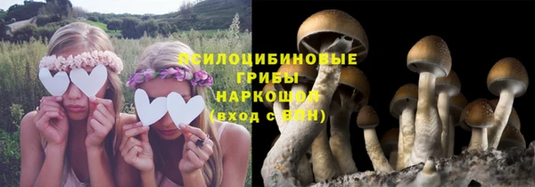 шишки Гусиноозёрск