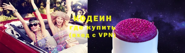 круглые Гусев