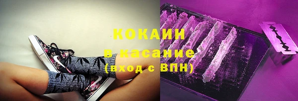 шишки Гусиноозёрск