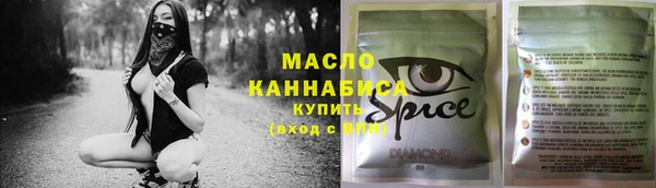 шишки Гусиноозёрск