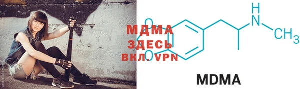 шишки Гусиноозёрск