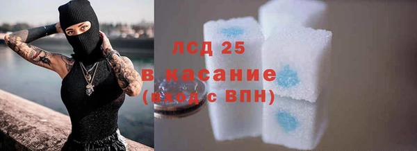 круглые Гусев