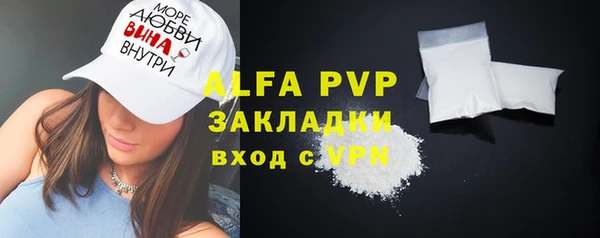 шишки Гусиноозёрск