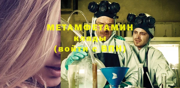 шишки Гусиноозёрск