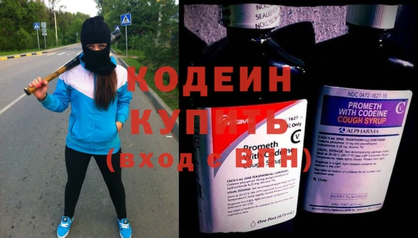 круглые Гусев