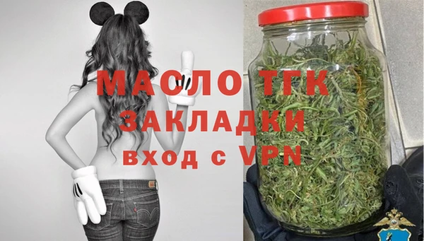 круглые Гусев