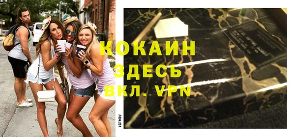 круглые Гусев