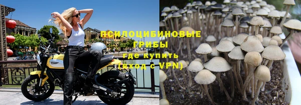шишки Гусиноозёрск