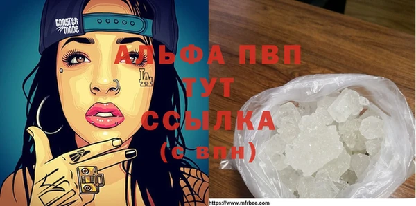 шишки Гусиноозёрск