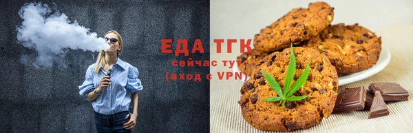 шишки Гусиноозёрск