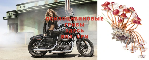 а пвп мука Гусь-Хрустальный