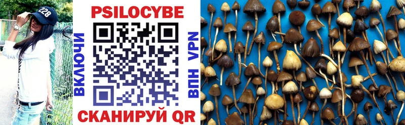 Псилоцибиновые грибы Magic Shrooms  купить наркотик  Заринск 